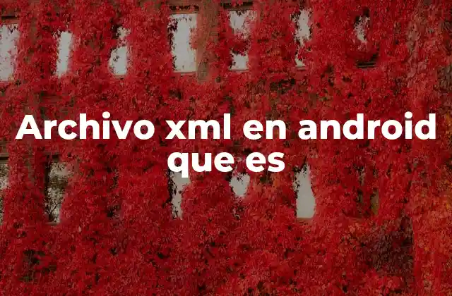 Archivo Xml en Android que es