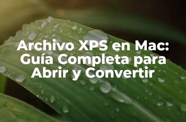 Archivo Xps en Mac: Guía Completa para Abrir y Convertir