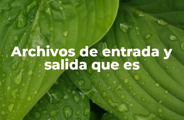 Archivos de Entrada y Salida que es