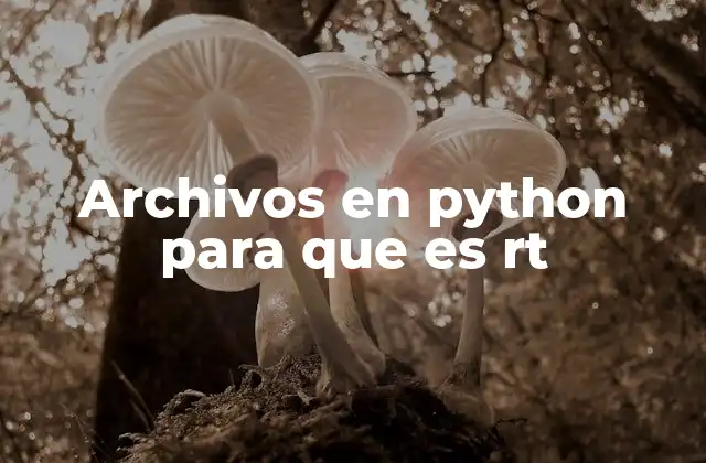Archivos en Python para que es Rt