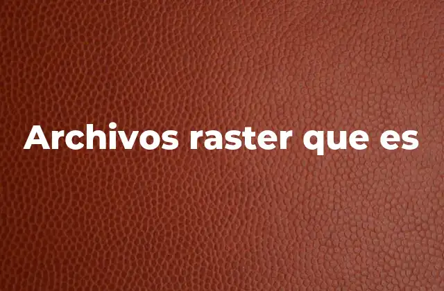 Archivos Raster que es