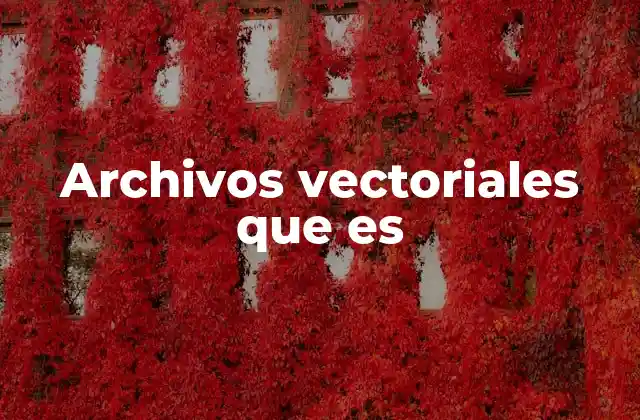 Cómo funcionan las imágenes basadas en vectores