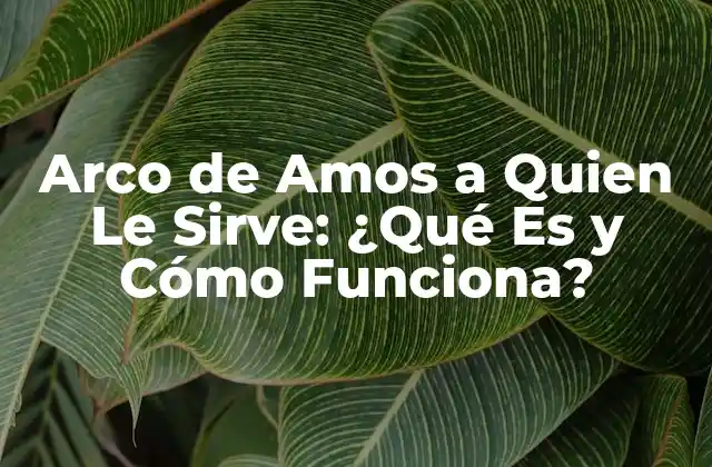 Arco de Amos a Quien Le Sirve: ¿qué es y Cómo Funciona?
