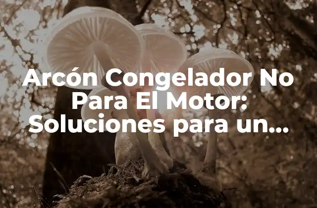 Arcón Congelador No para el Motor: Soluciones para un Funcionamiento Óptimo