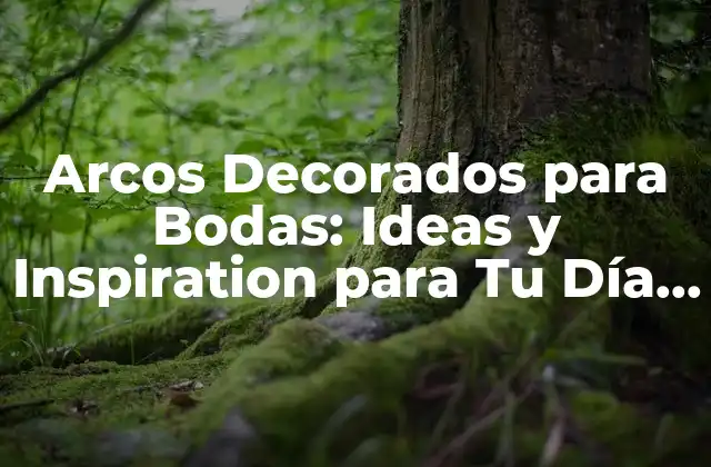 Arcos Decorados para Bodas: Ideas y Inspiration para Tu Día Especial