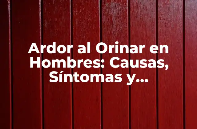 Ardor Al Orinar en Hombres: Causas, Síntomas y Tratamiento