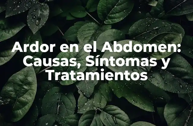 ¿Cuáles son las Causas del Ardor en el Abdomen?