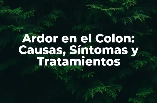 Causas del Ardor en el Colon