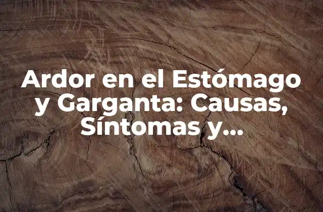 Ardor en el Estómago y Garganta: Causas, Síntomas y Tratamiento