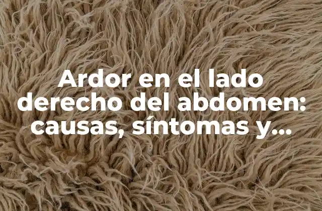 Ardor en el Lado Derecho Del Abdomen: Causas, Síntomas y Tratamientos