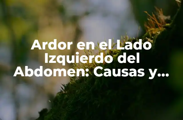 Ardor en el Lado Izquierdo Del Abdomen: Causas y Síntomas