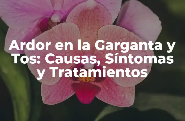 Ardor en la Garganta y Tos: Causas, Síntomas y Tratamientos