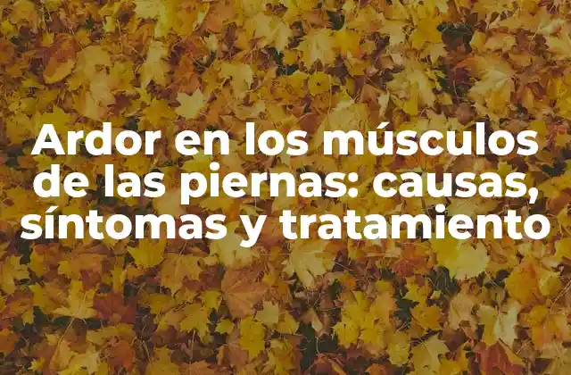 Ardor en los Músculos de las Piernas: Causas, Síntomas y Tratamiento