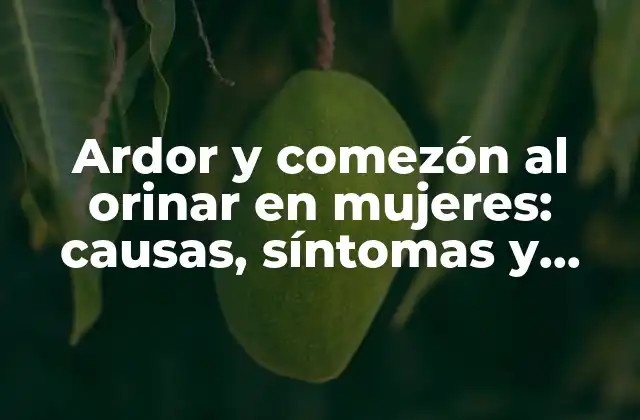 Ardor y Comezón Al Orinar en Mujeres: Causas, Síntomas y Tratamiento