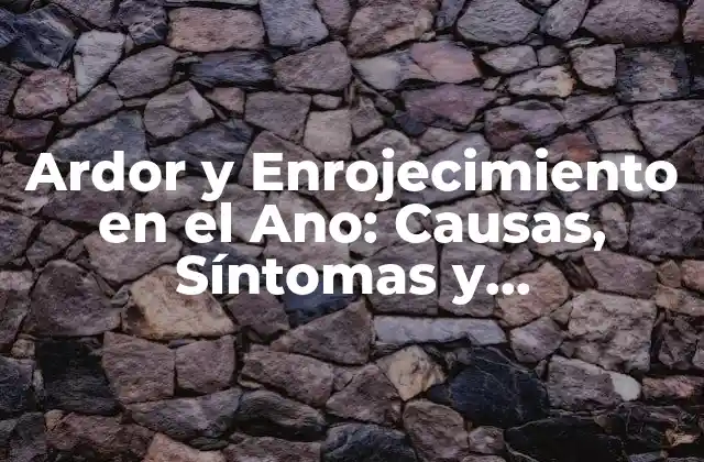 Ardor y Enrojecimiento en el Ano: Causas, Síntomas y Tratamientos