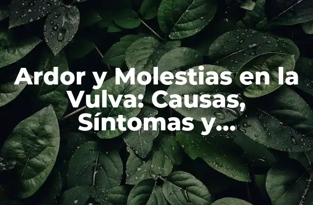 Ardor y Molestias en la Vulva: Causas, Síntomas y Tratamientos
