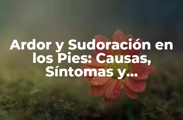 Ardor y Sudoración en los Pies: Causas, Síntomas y Tratamientos