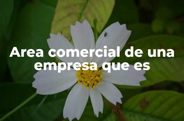 Area Comercial de una Empresa que es
