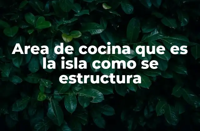Area de Cocina que es la Isla como Se Estructura 2 El concepto de la cocina abierta y su relación con la isla