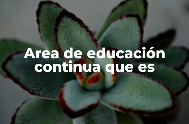 Area de Educación Continua que es