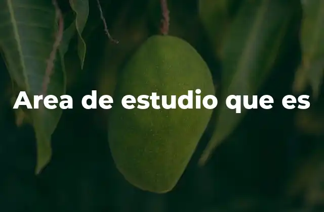 Area de Estudio que es