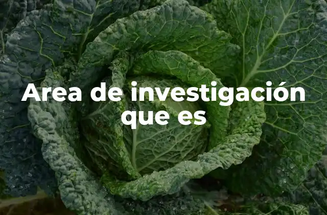 Area de Investigación que es