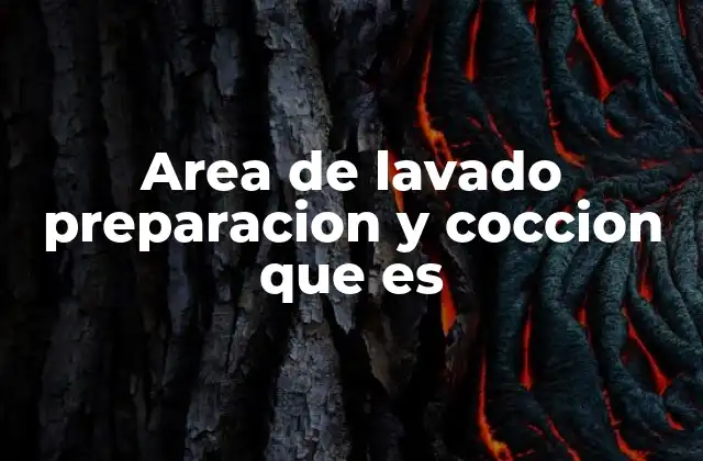 Area de Lavado Preparacion y Coccion que es