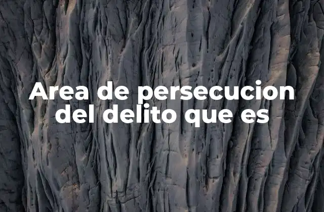 Area de Persecucion Del Delito que es