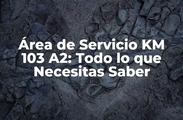 Área de Servicio Km 103 A2: Todo Lo que Necesitas Saber