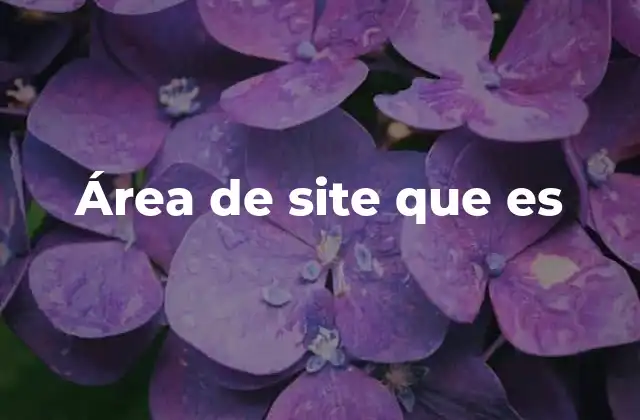 Área de Site que es