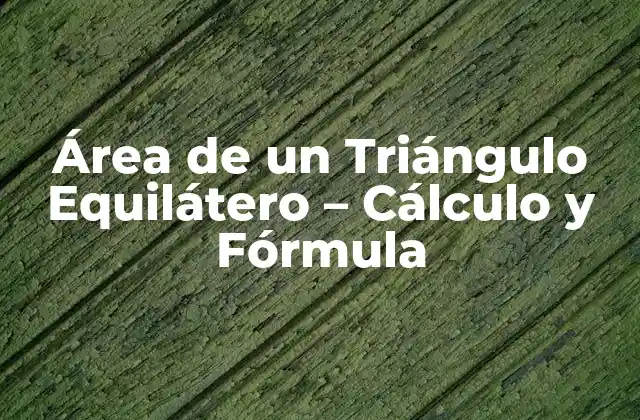 Definición y Propiedades de un Triángulo Equilátero