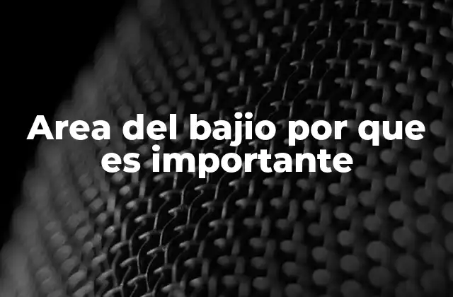 Area Del Bajio por que es Importante