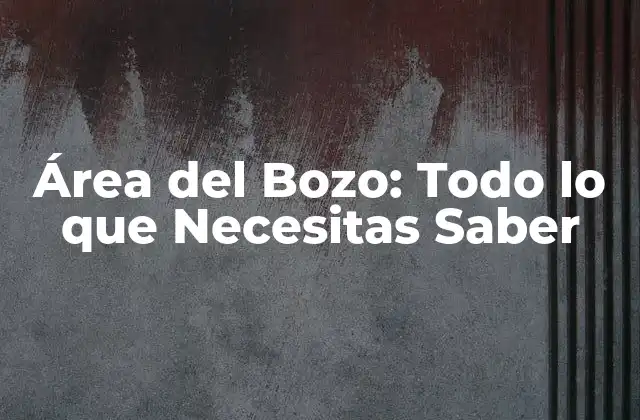 Área Del Bozo: Todo Lo que Necesitas Saber 2 Características del Área del Bozo