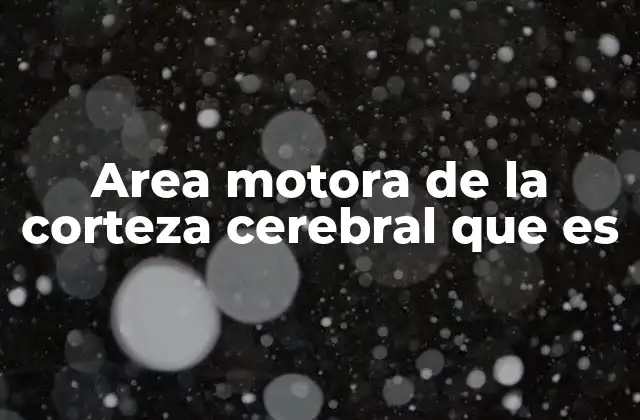 Area Motora de la Corteza Cerebral que es 2 El papel de la corteza cerebral en el control del movimiento