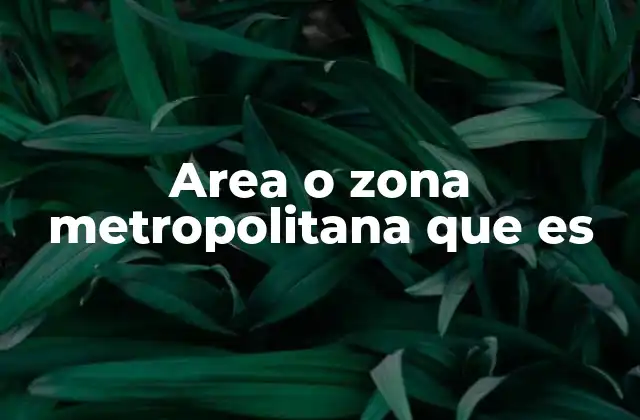 Area o Zona Metropolitana que es