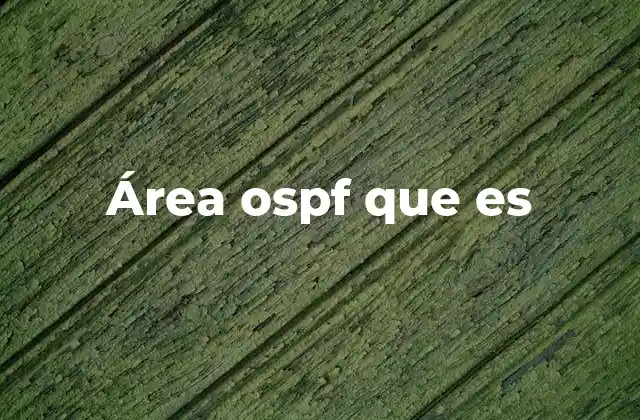 Área Ospf que es