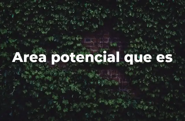 Area Potencial que es