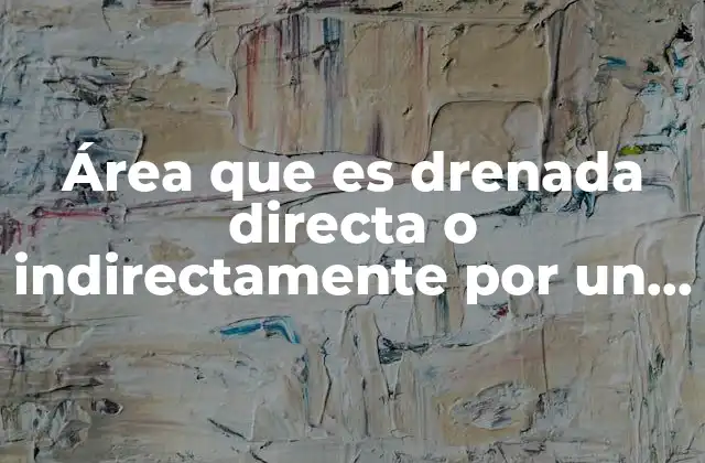 Área que es Drenada Directa o Indirectamente por un Río