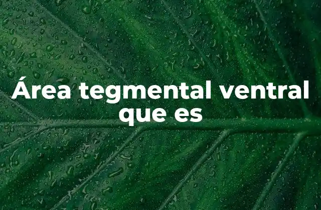 El papel del área tegmental ventral en el sistema de recompensa