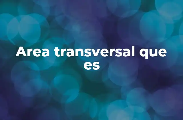 Area Transversal que es