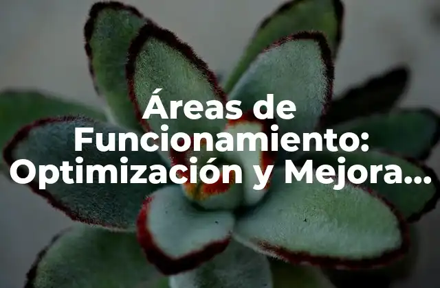 Áreas de Funcionamiento: Optimización y Mejora de la Productividad
