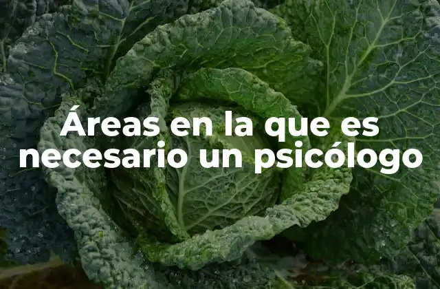 Áreas en la que es Necesario un Psicólogo 2 El rol del psicólogo en diferentes contextos