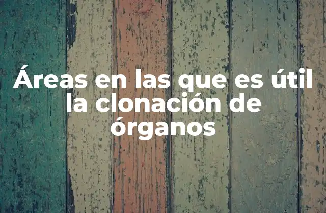 Áreas en las que es Útil la Clonación de Órganos