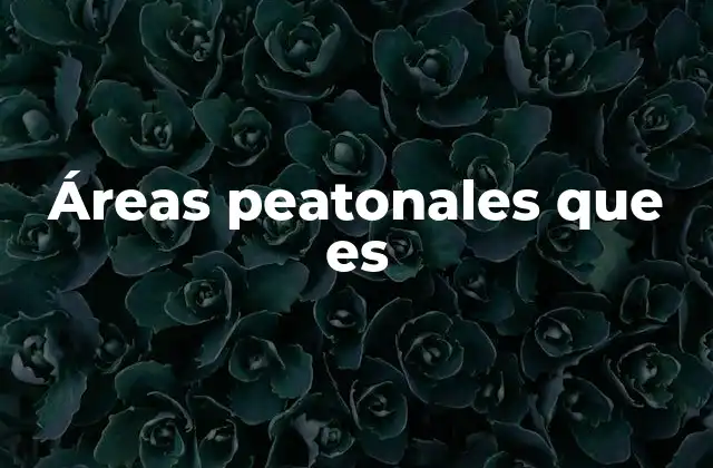 Áreas Peatonales que es