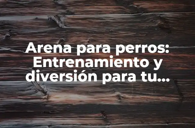 Arena para Perros: Entrenamiento y Diversión para Tu Amigo Canino