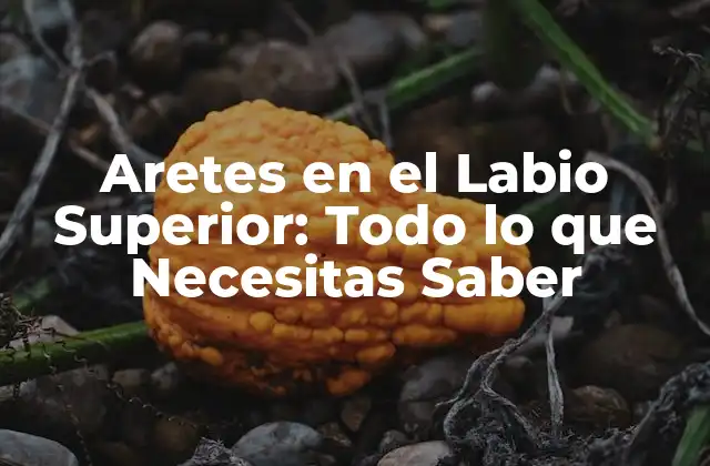 Aretes en el Labio Superior: Todo Lo que Necesitas Saber