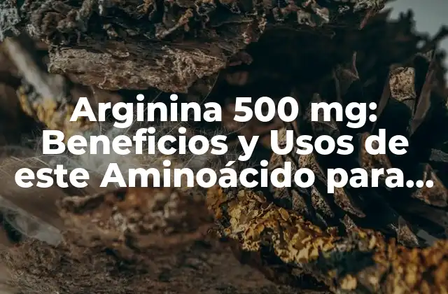 Arginina 500 Mg: Beneficios y Usos de Este Aminoácido para la Salud y el Deporte