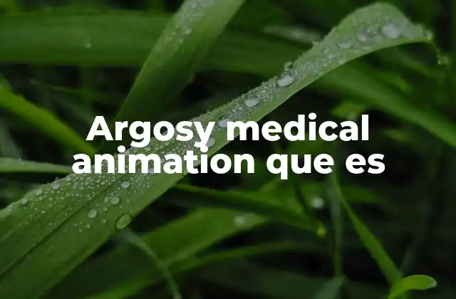Argosy Medical Animation que es