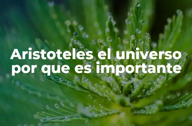 Aristoteles el Universo por que es Importante