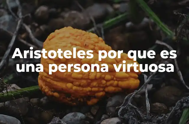 Aristoteles por que es una Persona Virtuosa